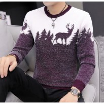 Jaukus vyriškas megztinis